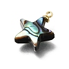 Natural Abalone Shell Pendants SH-CJC0AC7-01D-G-2