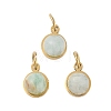 Natural Amazonite Half Round Charms with Jump Ring STAS-A097-05G-13-1