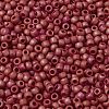 TOHO 8/0 Round Beads SEED-TR08-0405F-2