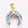 Paua Shell Pendants KK-G346-01B-2