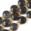 Natural Silver Sheen Obsidian Beads Strands G-G271-C08-10mm-2