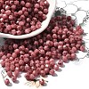 Baking Paint Glass Seed Beads SEED-A032-02A-06-1