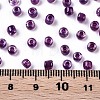 6/0 Glass Seed Beads X-SEED-A016-4mm-213-3
