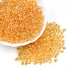 3/0 Baking Paint Glass Fringe Seed Beads SEED-A034-04B-3