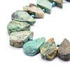 Natural African Turquoise(Jasper) Beads Strands G-E569-R04-3