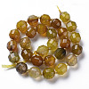 Natural Agate Beads Strands G-T131-118H-2