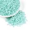 Drawbench Style Glass Seed Beads SEED-N008-11H-1