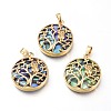 Natural Abalone Shell/Paua Shell Pendants BSHE-I014-G-4