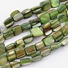 Erose Shell Beads Strands PBB068Y-1