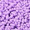 Rubberized Style Glass Seed Beads SEED-Z003-01F-3