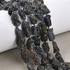 Raw Rough Natural Iolite Beads Strands G-D101-A01-1