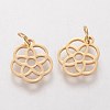 304 Stainless Steel Pendants LS-STAS-Q201-T454G-2