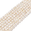 Natural Cultured Freshwater Pearl Beads Strands PEAR-E016-151-1