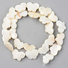 Natural Freshwater Shell Beads Strands X-SHEL-S276-88-2