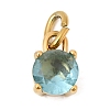 Birthdaystone Theme March 304 Stainless Steel Charms STAS-B128-60G-03-1