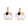 Brass Enamel Pendants KK-T001-04G-2