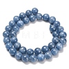 Natural Kyanite Beads Strands G-C259-B01-10mm-01-3