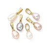 Natural Cultured Freshwater Pearl Pendants PALLOY-JF05324-2