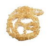 Natural Citrine Beads Strands G-O049-B-29A-5