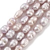 Natural Cultured Freshwater Pearl Beads Strands PEAR-P062-01C-1