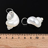 Natural Spiral Shell Pendants X-SHEL-N036-11-3