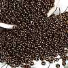 TOHO 6/0 Demi Round Beads X-SEED-DR06-0224-2