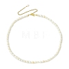Adjustable Natural Cultured Freshwater Pearl Rice Beaded Necklaces for Women NJEW-JN06341-2