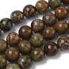 Natural Green Opal Beads Strands G-K365-F04-14mm-2