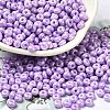 Baking Paint Luster Glass Seed Beads X1-SEED-B001-04A-09-1