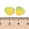 Imitation Candy Food Style Resin Cabochons RESI-R461-01C-3