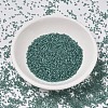 MIYUKI Delica Beads SEED-MY11-DB1768-2