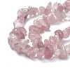 Natural Madagascar Rose Quartz Beads Strands X-G-O187-01-4