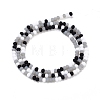 Faceted Glass Beads Strands GLAA-F106-B-F08-2