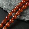 Oval Natural Carnelian Beads Strands G-D622-06-A-1