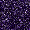 MIYUKI Delica Beads SEED-X0054-DB0609-3