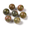 Natural Unakite No Hole Sphere Beads G-K353-04D-05-1