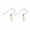 304 Stainless Steel Earring Hooks STAS-S057-63I-1