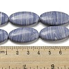Synthetic Blue Lace Agate Beads Strands G-B071-H02-02-4