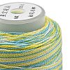 6-Ply Polyester Cord OCOR-L046-A17-2