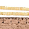 Natural Freshwater Shell Beads Strands SHEL-Q028-01B-4
