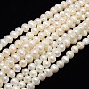 Grade A Natural Cultured Freshwater Pearl Beads Strands PEAR-L001-A-10-01-1