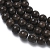 Natural Wood Lace Stone Wooden Jasper Beads Strands G-K365-F03-8mm-4