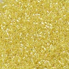 MIYUKI Delica Beads SEED-MY11-DB0171-3