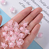 Transparent Acrylic Beads TACR-S152-02A-SS2112-5