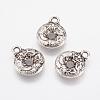 Alloy Charms PALLOY-G192-04AS-1