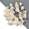 Natural Shell Beads Strands SHEL-K009-11-2