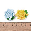 Opaque Resin Cabochons RESI-R455-01G-3