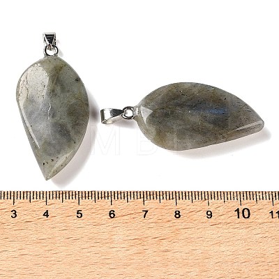 Natural Labradorite Pendants GG-CBACB71-05P-15-1