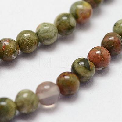 Natural Rhyolite Jasper Beads Strands G-N0183-01-2mm-1