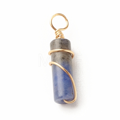 Natural Sodalite Pendants PALLOY-JF01453-03-1